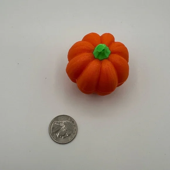 #1 LIMITED EDITION FLASH SALE Pumpkin “Mystery Box” (What’s in the Box?) - Picture 5 of 6